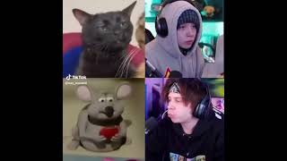 Rubius amp Quackity be like 🐱🐭 rubius quackity [upl. by Illac20]