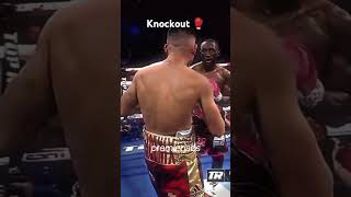 Terence Crawford KNOCKS OUT Jose Benavidezmp4 [upl. by Yelsek]