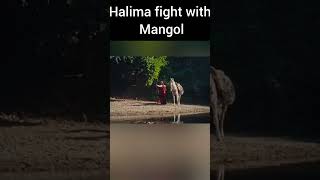 Halima Sultan Fight with Mangol Part 1 [upl. by Barbour]