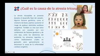 Video Atresia Tricuspidea [upl. by Ellimaj]