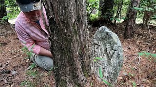 STOLEN HEADSTONES AND THE MAN WHO WAS DRAGGED TO DEATH BY A MULE  WINFREY CEMETERY [upl. by Fabrianna]