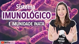 Sistema Imunológico e Imunidade Inata  Anatomia etc [upl. by Godden]