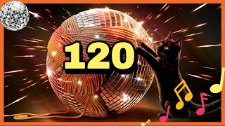 2 Minute Countdown Timer with Disco Music 🪩🐱 120 Second Countdown [upl. by Alecia461]