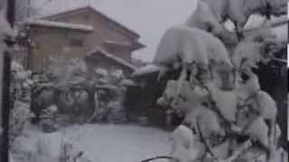 2014 東京雪の日 雪は、もういいです！ Tokyo Snow 140208 [upl. by Ssegrub]