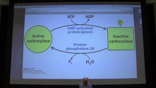 37 Kevin Aherns Biochemistry  Fat and Fatty Acid Metabolism II [upl. by Dnalyar]