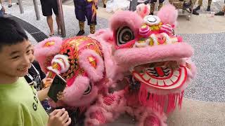 Lion dance at whampoa hawker centre  team SLG [upl. by Thielen850]