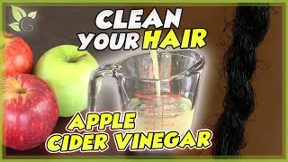 Apple Cider Vinegar as a HAIR CLEANSER – Scientific Facts [upl. by Pizor]