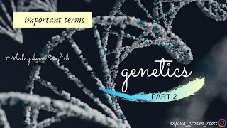 Important Terms In Genetics  Malayalam  Gene Allele Homozygous Heterozygous Punnett Square [upl. by Irita]