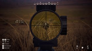 Best Hunting in new African Map Tikamoon Plains  Way Of The Hunter [upl. by Ylrehc]