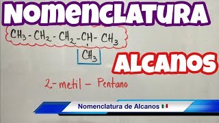 Nomenclatura de ALCANOS muchos ejemplos paso a paso [upl. by Brandais372]