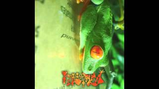 Phyllomedusa  Greenhand Full Album [upl. by Sseb]