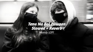 Tenu Na Bol Pawaan  Slowed  Reverb   Shruti Hassan Rajkumar Rao  Yasser Desai  Moody LOFI [upl. by Atinrahs]