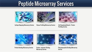 Peptide Microarray Service [upl. by Noiemad]