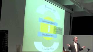 Prof Tom Sexton on Functional Family Therapy [upl. by Glennon]