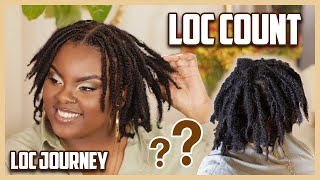 How many locs do I have Loc Count amp Interlocking [upl. by Aleuqahs]