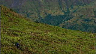 Fishhook Trail at Hatcher Pass on our Alaska Adventure [upl. by Salba]