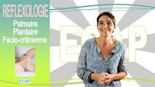 Formation Réflexologie Plantaire  Palmaire  FacioCranienne  ECAP de Nantes [upl. by Ahsilav]