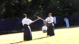 大東流の剣術 kenjutsu of Daito ryu [upl. by Kcirad888]