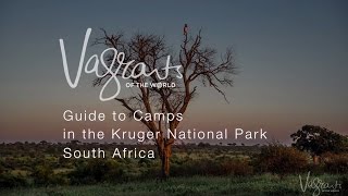 A Guide to Kruger National Park Camps [upl. by Avril892]