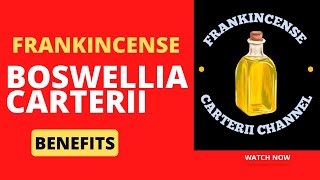 Frankincense Boswellia Carterii Essential Oil Benefits [upl. by Wall]