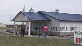 Morton Buildings Tour  All Dogs Canine Care Kennel [upl. by Nevag]