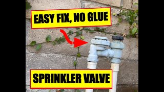 How to Repair Sprinkler Valve  How to Fix a Leaky Sprinkler Valve  Fix Leaking Sprinkler Valve [upl. by Garwin305]