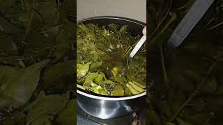 Curry Leaves Tea [upl. by Taggart]