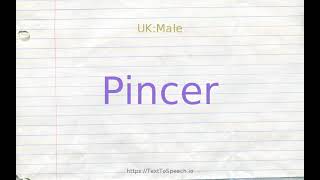 How to pronounce pincer [upl. by Ajed152]