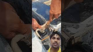 Lohe ki Sariya se Sahi Naam ke baithana amazingwork formwork heavywork shorts viralshorts [upl. by Irmine776]