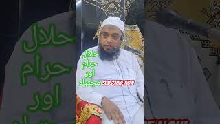 Halal haram aor mujtabah I islamicvideo viralshorts muftitariqmasoodsahabnewbayan [upl. by Cotter]