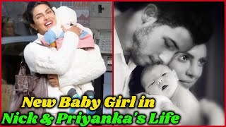 New Baby Girl in Nick and Priyanka Chopra Life [upl. by Ytsim627]