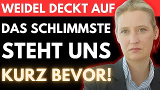 WEIDELS LETZTE WARNUNG 🚨 Der FINALE AMPEL PLAN steht kurz bevor  DAS wird uns ALLES kosten [upl. by Gilbart]