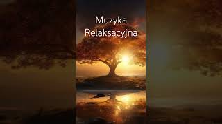 Muzyka Relaksacyjna do nauki i koncentracji 🍀 Fale alfa 🍀 432Hz [upl. by Questa]