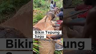 Unik Banget‼️Proses Tradisional Bikin Tepung Sagu⁉️🤔 shorts viralvideos [upl. by Childs]