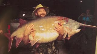 Missouri Record Fish Stories  Paddlefish [upl. by Kirad]