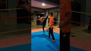 Can You Handle These Insane Taekwondo Kicks taekwondo training taekwondokicks militarytaekwondo [upl. by Shoshanna]