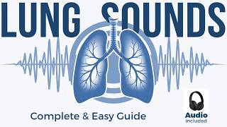 Lung Sounds  Breath sounds Types amp Causes Remastered [upl. by Suravaj]