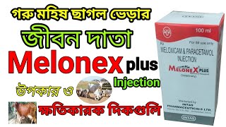 Melonex Plus Injection uses benifits Sideeffects in Bangla  Meloxicam Paracetamol Inj Veterinary [upl. by Furie]