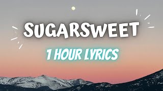 Sugarsweet  Zach Sorgen 1 Hour Lyrics I’m on the road it’s my time Taking control of my life [upl. by Manwell]