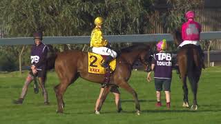 Kalgoorlie Cup Day 2024 Race 8 XXXX Kalgoorlie Cup 2300mtrs [upl. by Aititil]