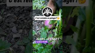 Le Jardin Potager Un bon investissement pour 2025 [upl. by Pfeifer]