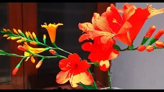 How to make Paper flowers Crocosmia  MontbretiaFlower  85 [upl. by Thormora]