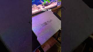 ABLETON PUSH 2  PRO TIP 1 [upl. by Namra]