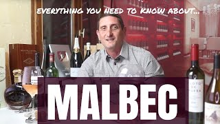 Essential Malbec Wine Facts Malbec Argentina vs France [upl. by Waller482]