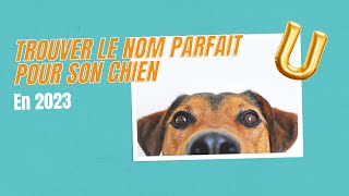 Nom de chien en U pour 2023 [upl. by Eliam]