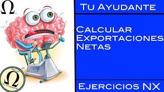 Exportaciones Netas  Ejercicios NX  Método Nº1  Tu Ayudante Economía [upl. by Siramed975]