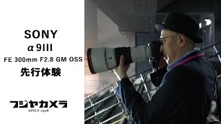 SONY α9Ⅲ＆FE 300mm F28 GM OSS【先行体験レポート】 [upl. by Atikehs]