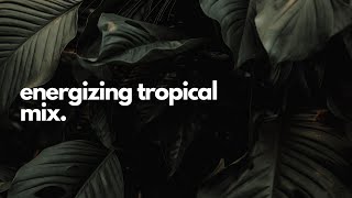 Energizing tropical playlist exotic soft house [upl. by Silver]