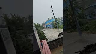 Today Rain At Sankarankovil [upl. by Yanffit]