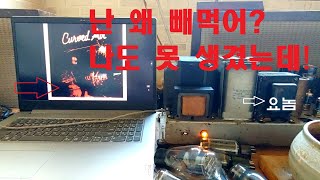 Vivaldi  Curved Air  소리는 사람이 한 짓을 그대로 들려주지만 사람은 잘 듣지를 못합니다 [upl. by Razaile]